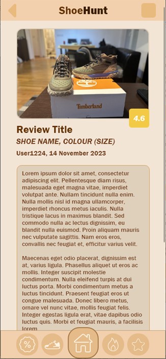Reviews (4) - full review example with photo, user rating, title, shoe details, publishing details and user comment